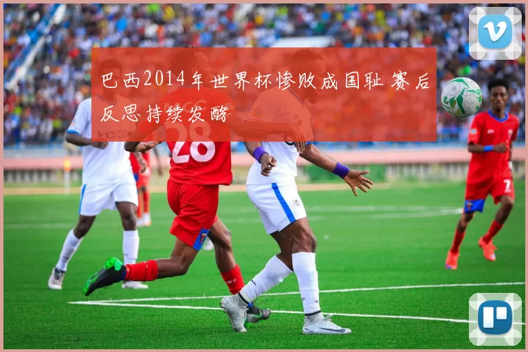 巴西2014年世界杯惨败成国耻 赛后反思持续发酵