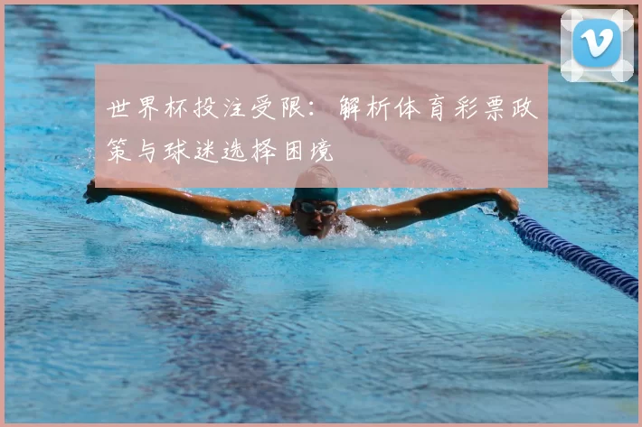 世界杯投注受限:解析体育彩票政策与球迷选择困境