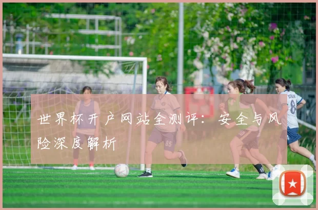 世界杯开户网站全测评:安全与风险深度解析