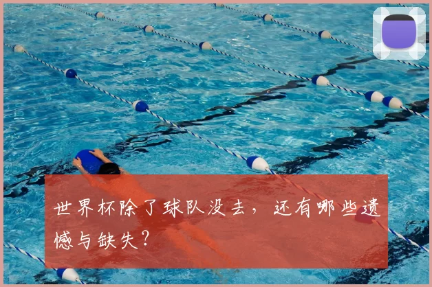 世界杯除了球队没去,还有哪些遗憾与缺失?