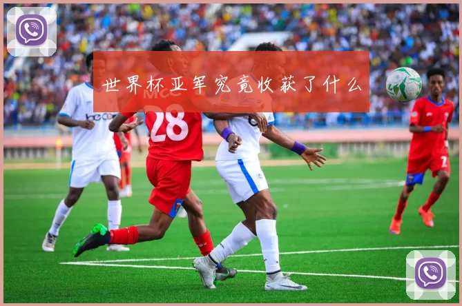 世界杯亚军究竟收获了什么