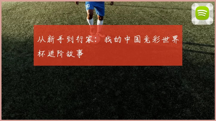 从新手到行家：我的中国竞彩世界杯进阶故事