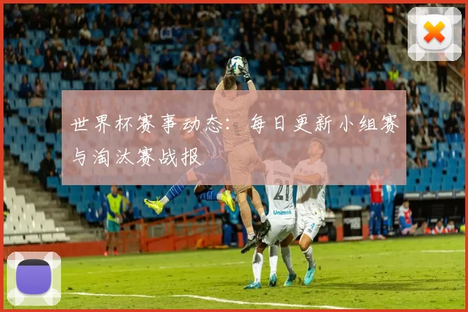世界杯赛事动态：每日更新小组赛与淘汰赛战报