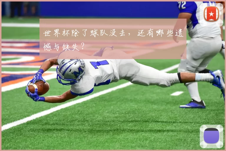 世界杯除了球队没去,还有哪些遗憾与缺失?