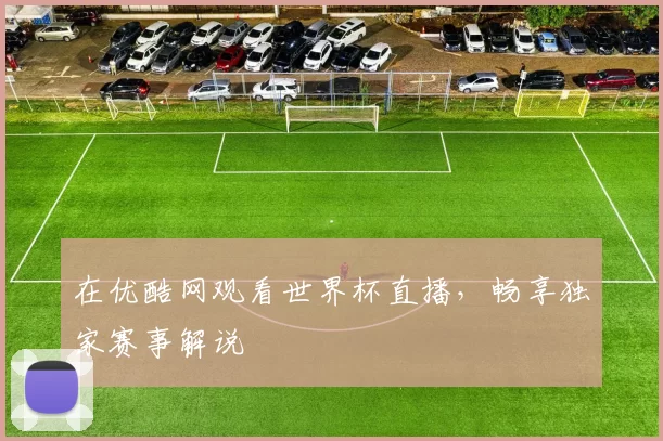 在优酷网观看世界杯直播，畅享独家赛事解说