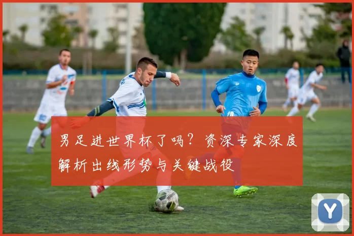 男足进世界杯了吗？资深专家深度解析出线形势与关键战役
