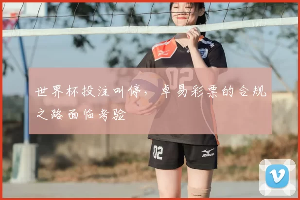 世界杯投注叫停，卓易彩票的合规之路面临考验