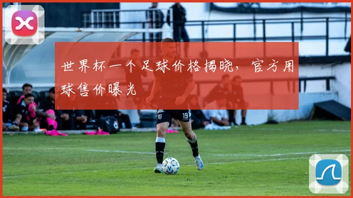 世界杯一个足球价格揭晓，官方用球售价曝光