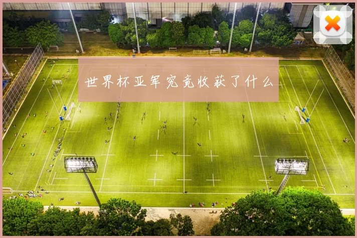世界杯亚军究竟收获了什么