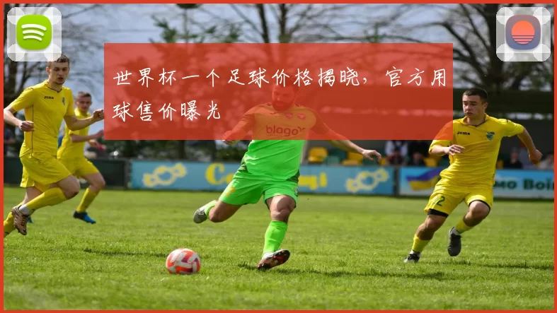 世界杯一个足球价格揭晓,官方用球售价曝光